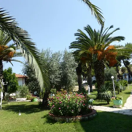 Olympic Bibis Metamorfosi (Sithonia)