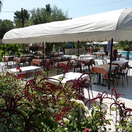 Olympic Bibis 3* Metamorfosi (Sithonia)