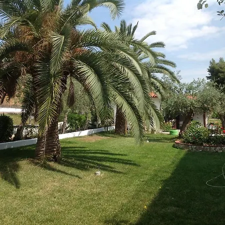 Aparthotel Olympic Bibis 3*