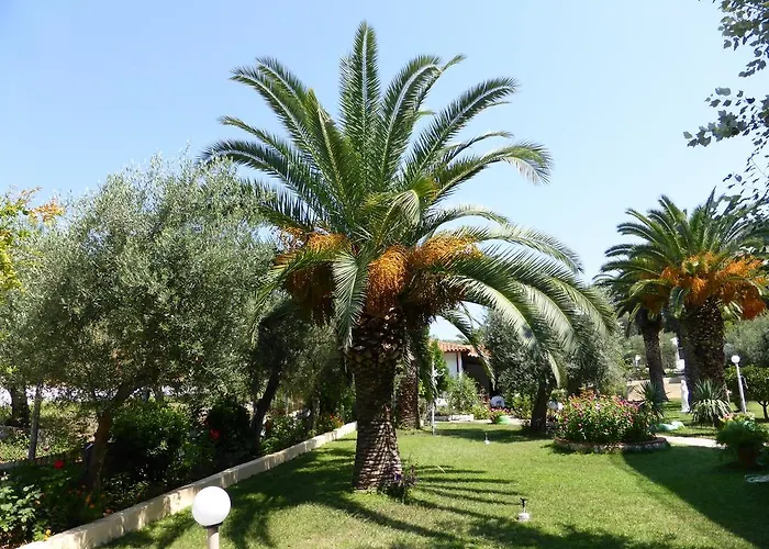 Olympic Bibis Metamorfosi (Sithonia)