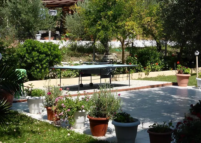 Olympic Bibis 3* Metamorfosi (Sithonia)