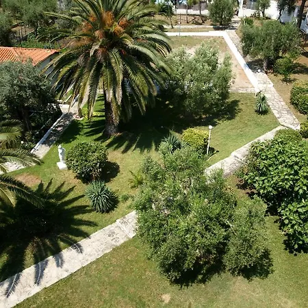 Olympic Bibis Metamórfoszi