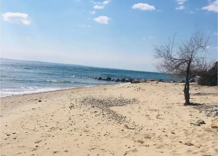 奥林匹克比比斯酒店 公寓式酒店