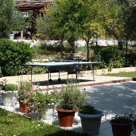 Olympic Bibis 3* Metamorfosi (Sithonia)