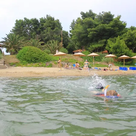 Olympic Bibis Apartahotel Metamorfosi (Sithonia)